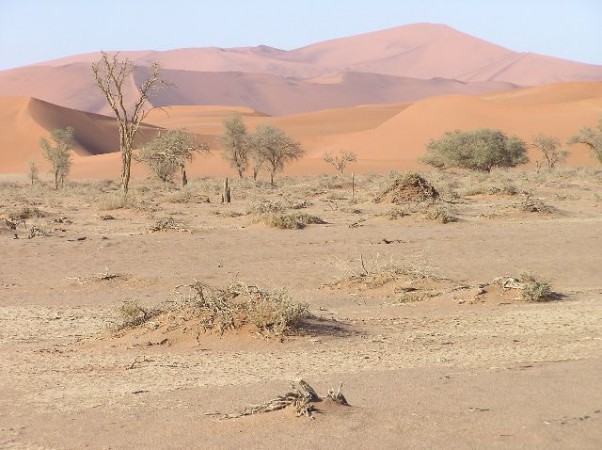 Sossusvlei, Namibië.  